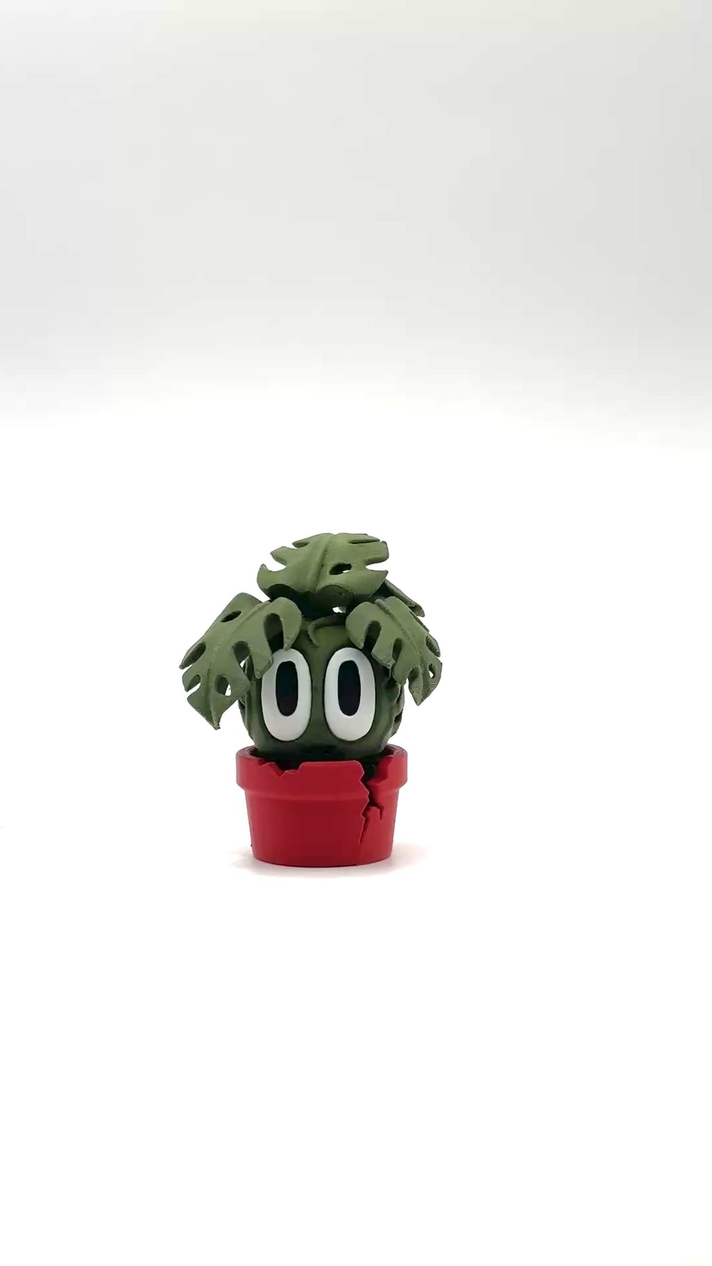 Monstera - Desk Buddy