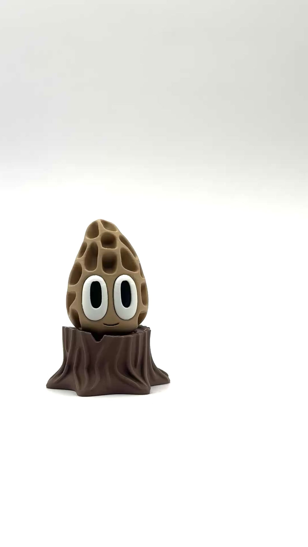 Morel Mushroom
