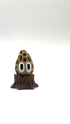 Morel Mushroom