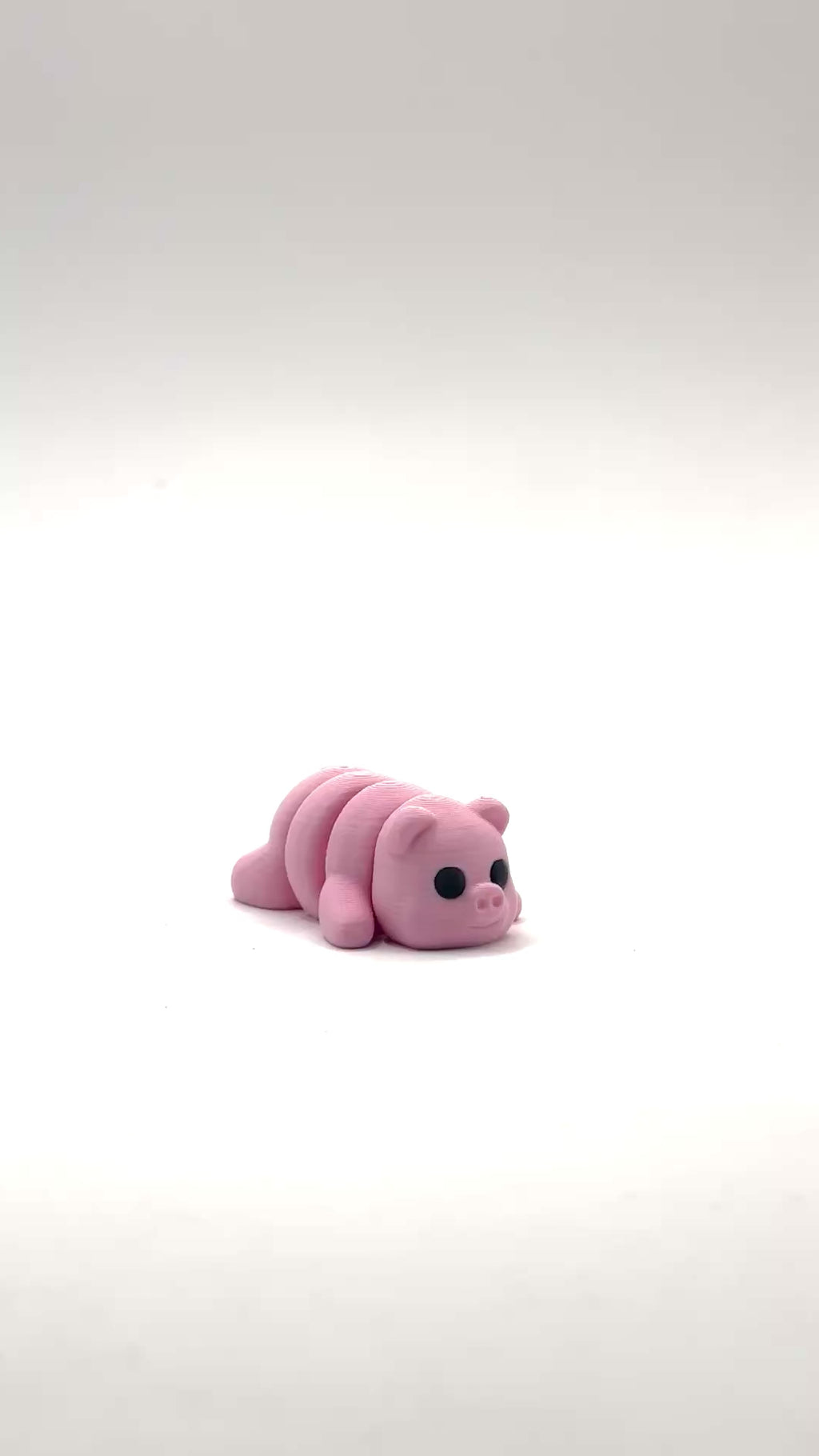 Mini Pig