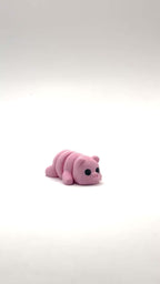 Mini Pig