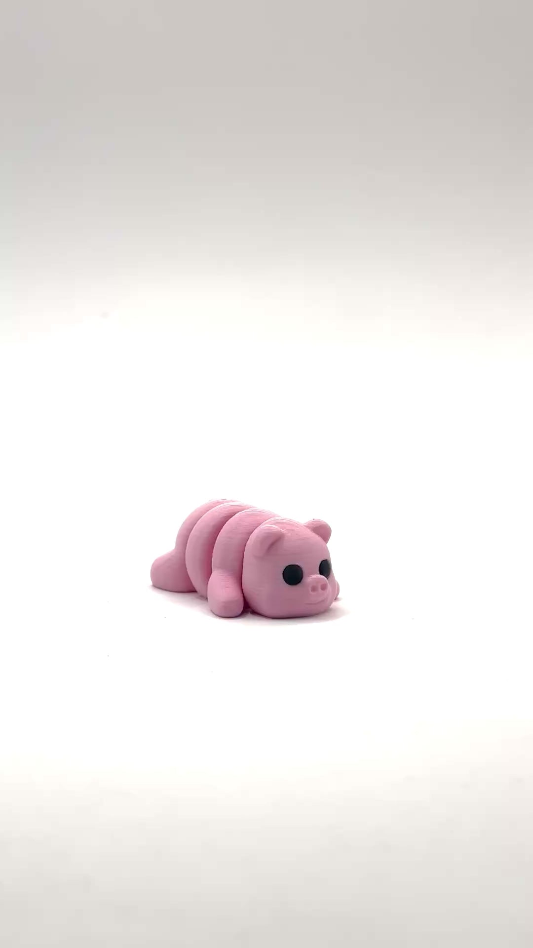 Mini Pig