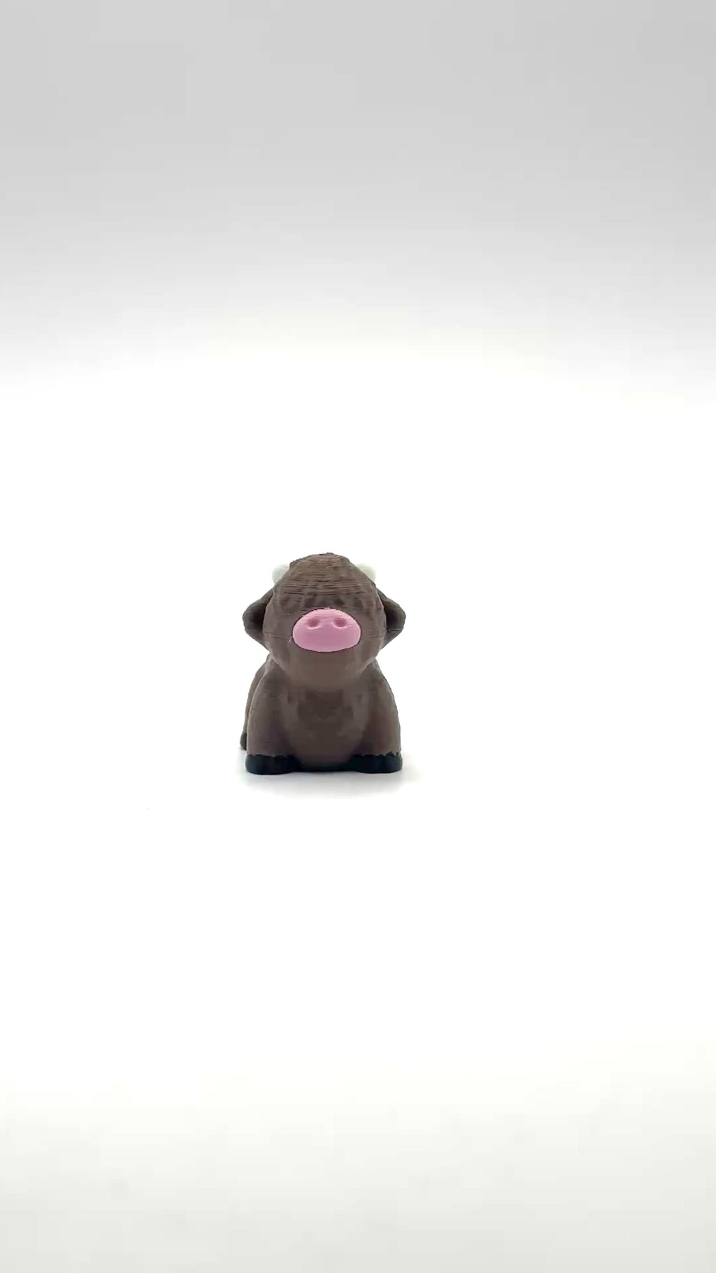 Mini Highland Cow