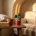 Prickly Pear - Desk Buddy desk buddy in a cosy NZ home setting