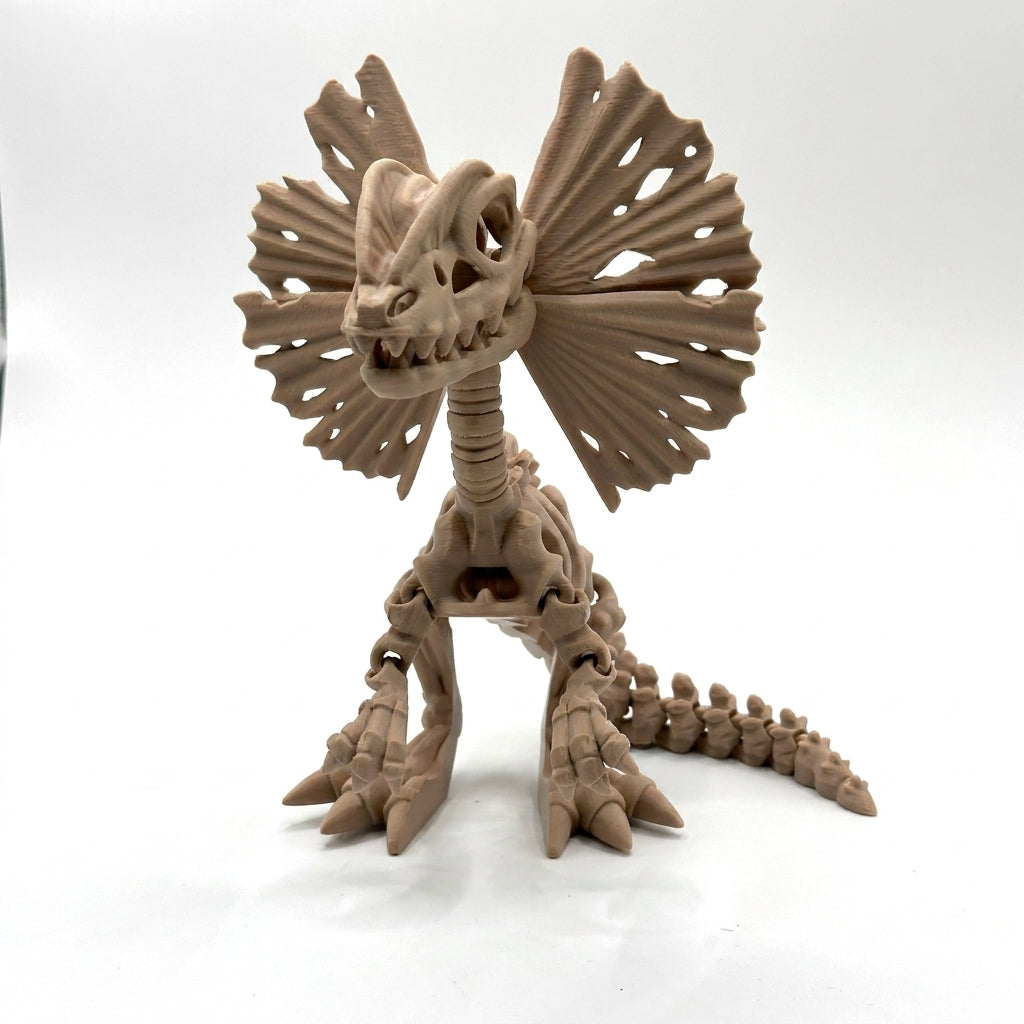 Skeleton Dilophosaurus - Latte Brown
