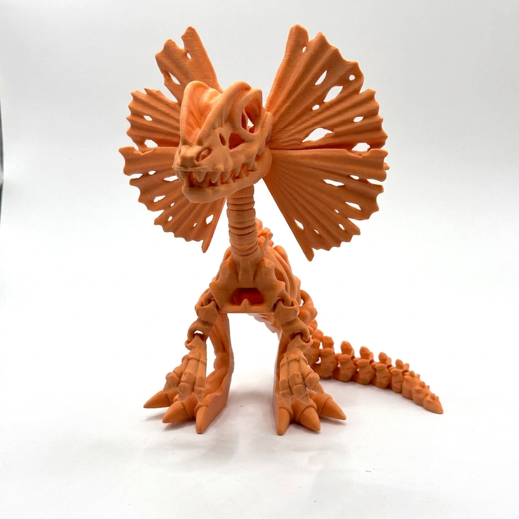 Skeleton Dilophosaurus - Orange