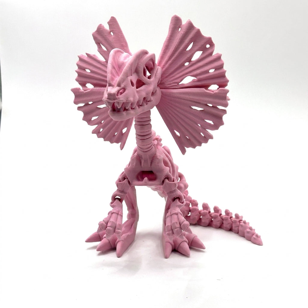 Skeleton Dilophosaurus - Sakura Pink