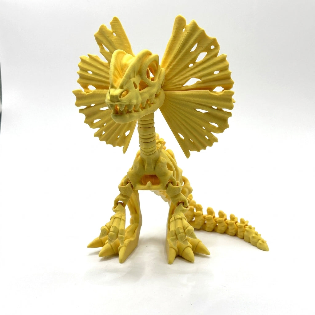 Skeleton Dilophosaurus - Yellow