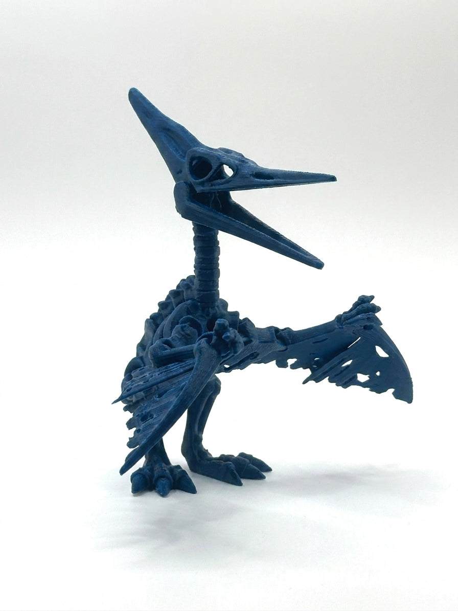 Skeleton Pteranodon - Dark Blue