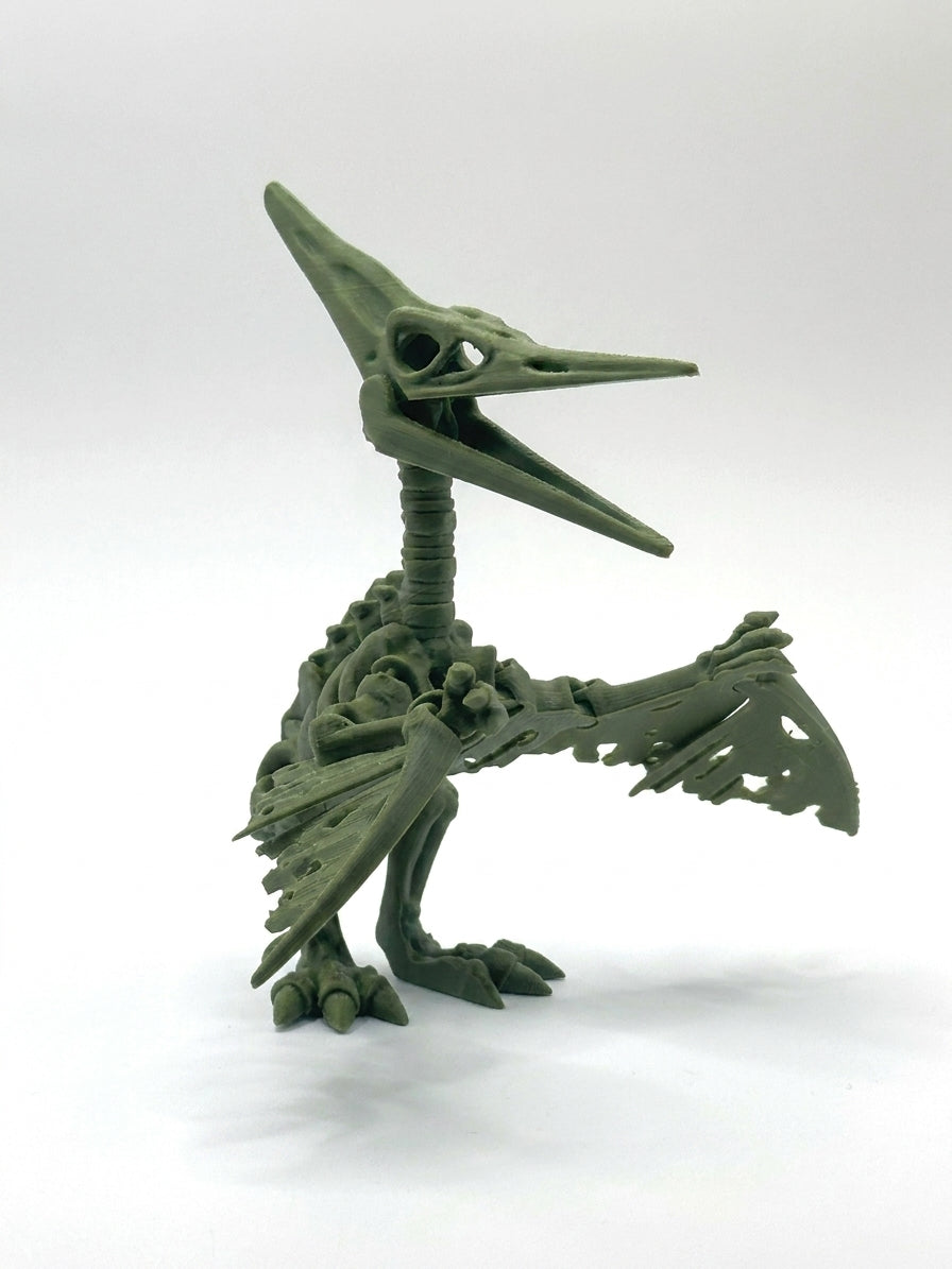 Skeleton Pteranodon - Dark green