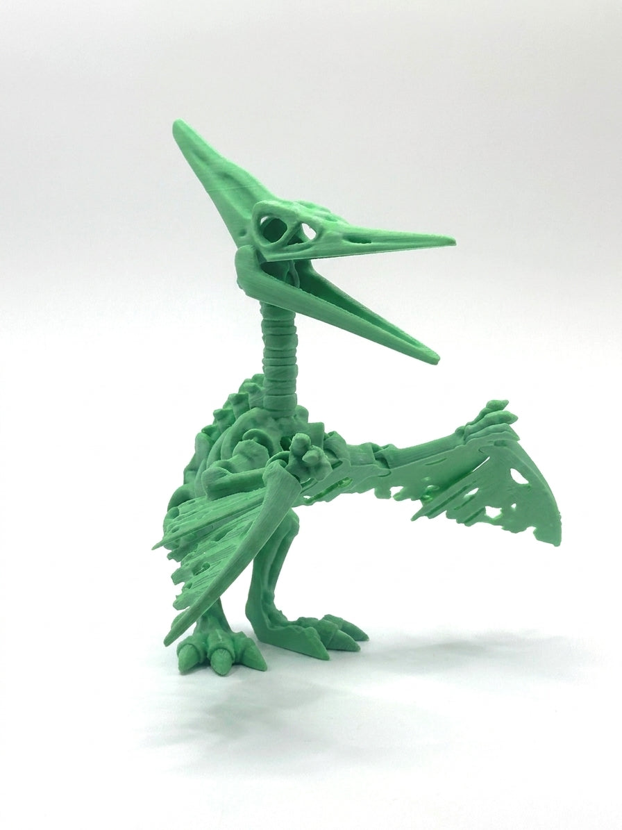Skeleton Pteranodon - Grass Green