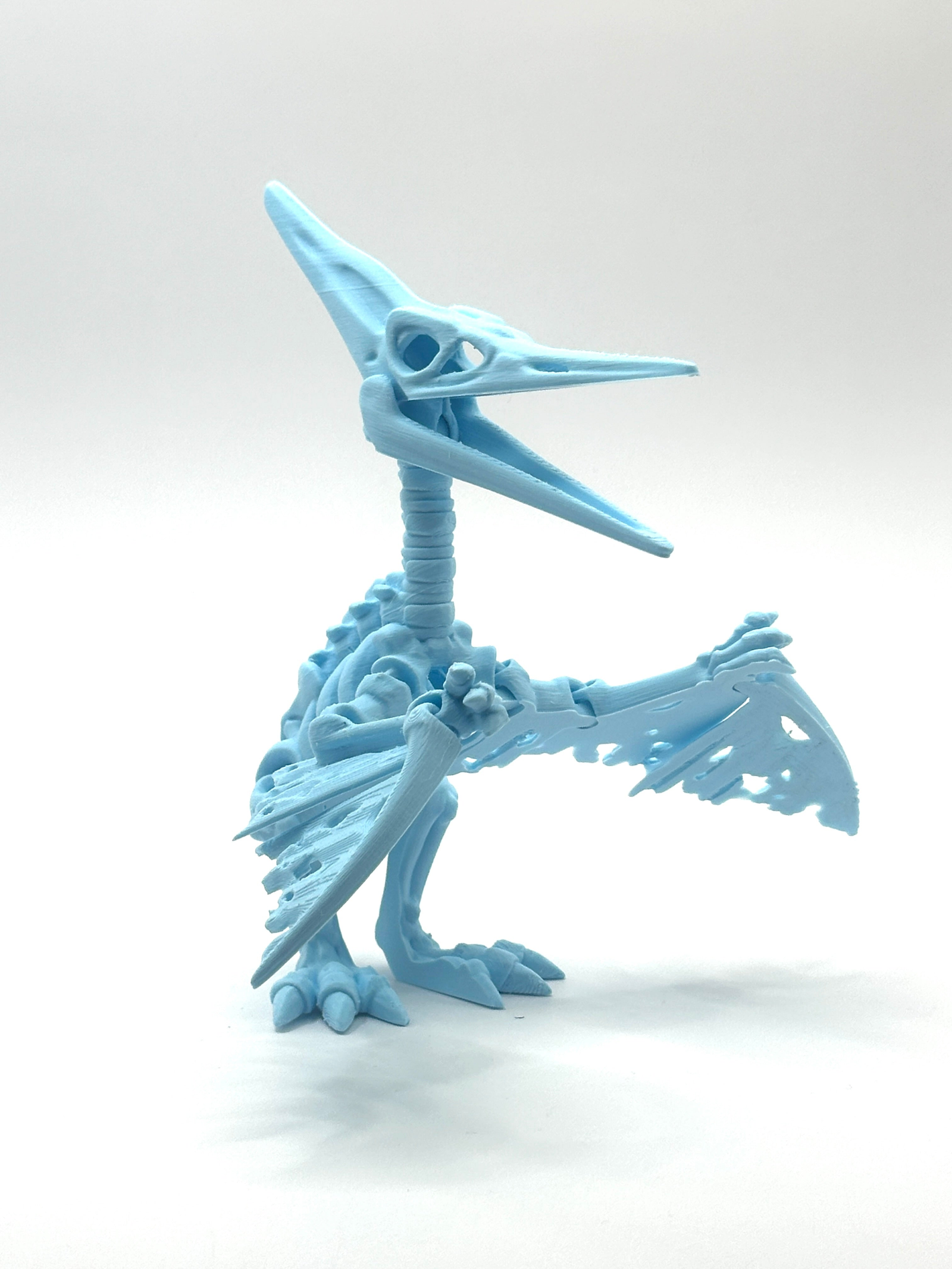 Skeleton Pteranodon - Ice Blue