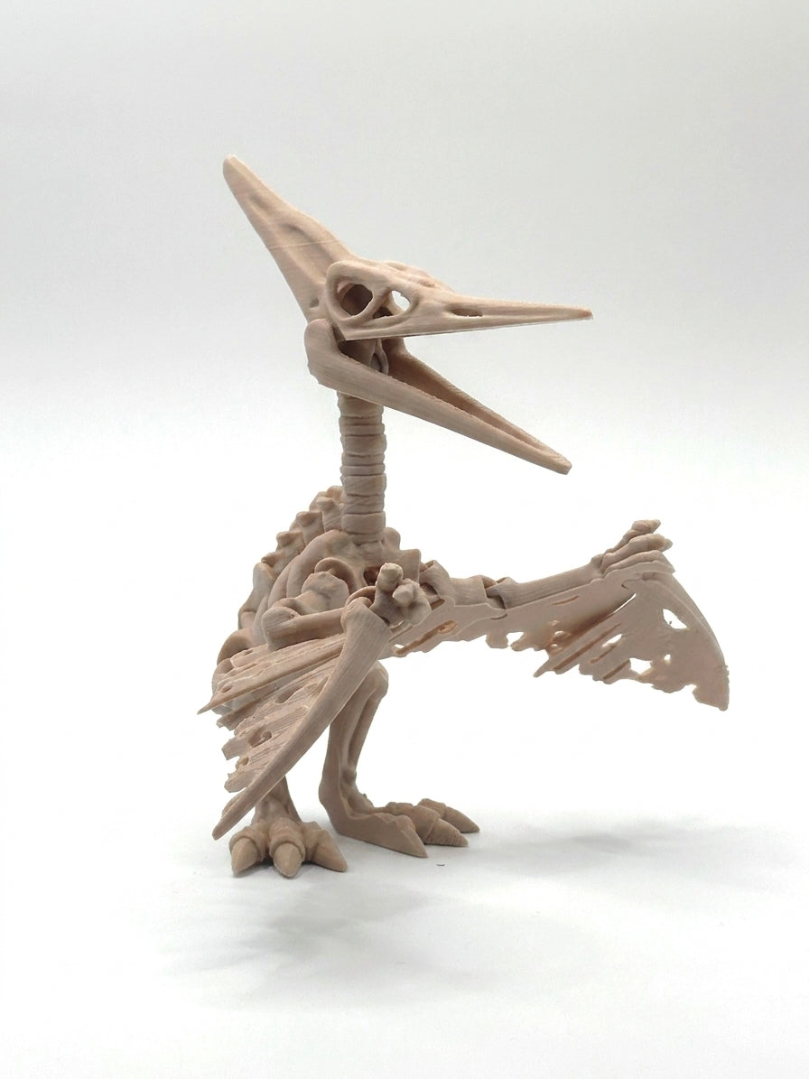 Skeleton Pteranodon - Latte Brown