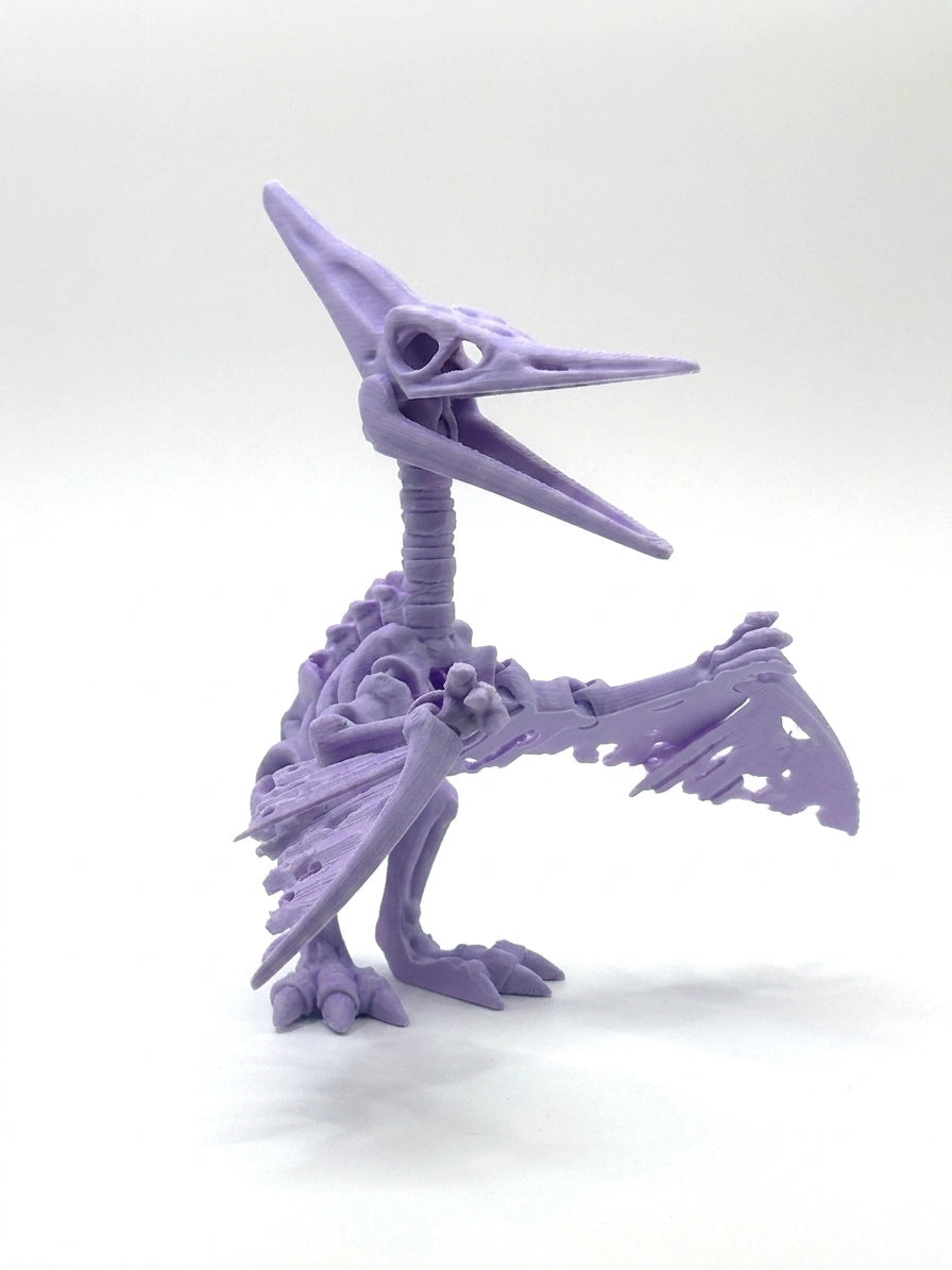Skeleton Pteranodon - Lilac Purple