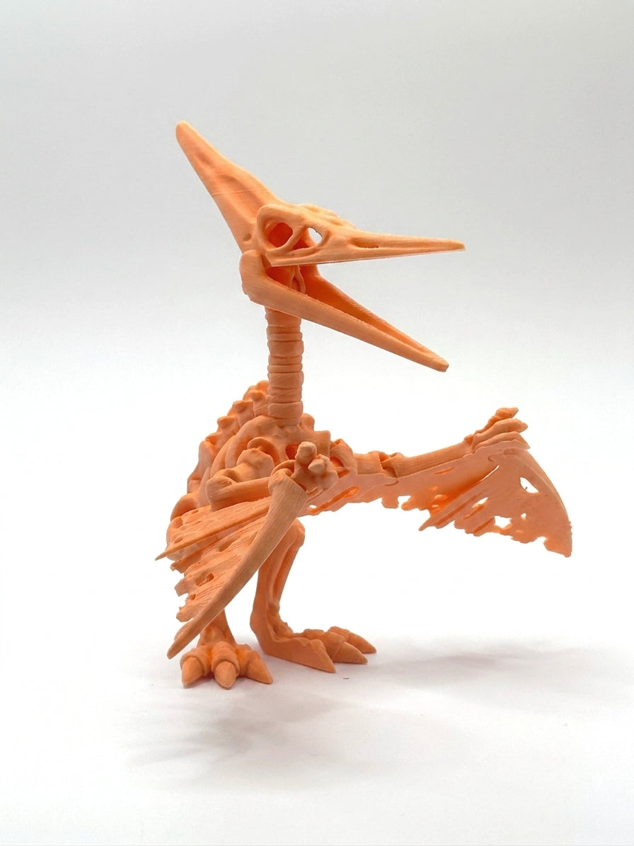 Skeleton Pteranodon - Orange