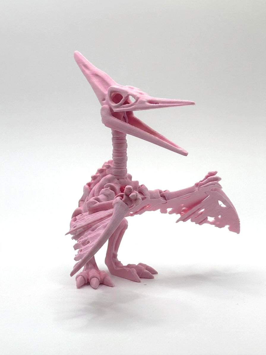 Skeleton Pteranodon - Sakura Pink