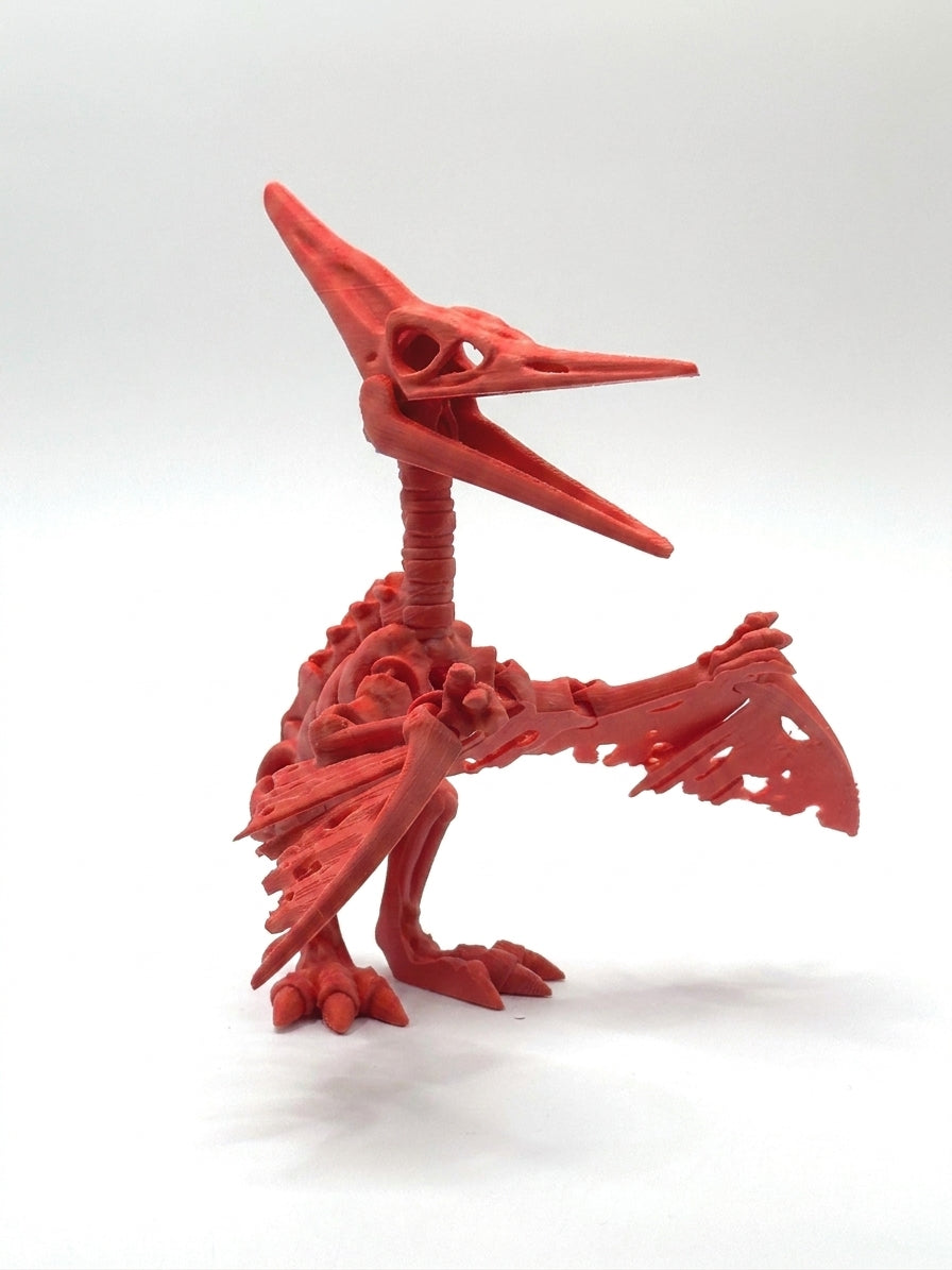 Skeleton Pteranodon - Scarlet Red