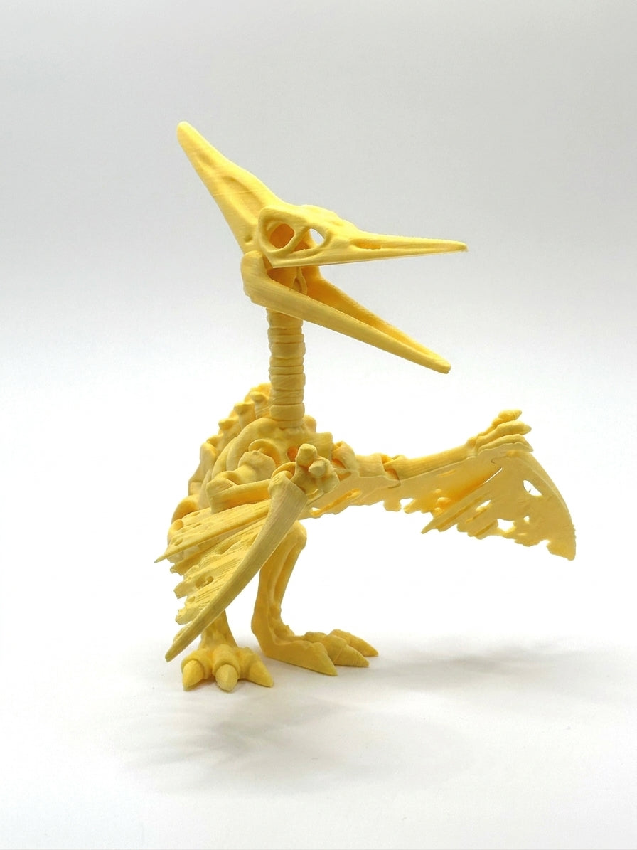Skeleton Pteranodon - Yellow