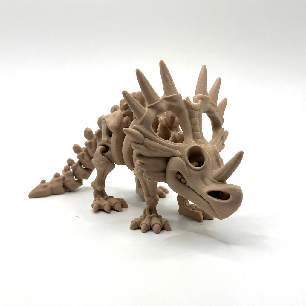 Skeleton Styracosaurus - Latte Brown