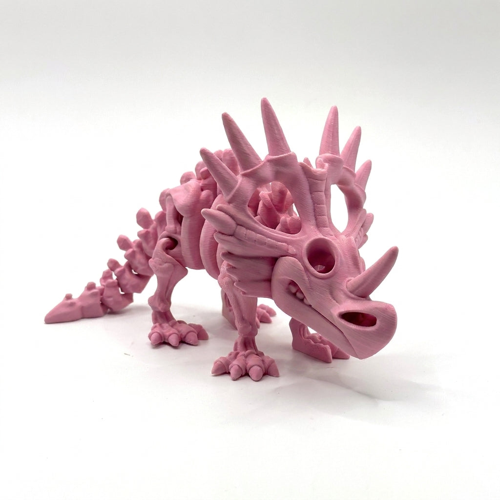Skeleton Styracosaurus - Sakura Pink