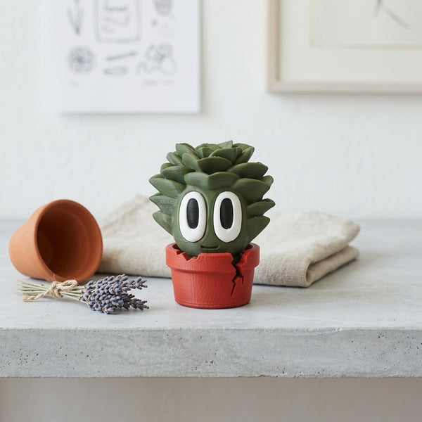Suki the Succulent
